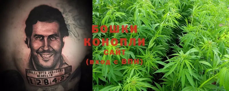 нарко площадка официальный сайт  Гудермес  Каннабис SATIVA & INDICA 